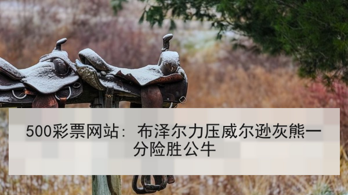 500彩票网站: 布泽尔力压威尔逊灰熊一分险胜公牛 500彩票网站: 布泽尔力压威尔逊灰熊一分险胜公牛