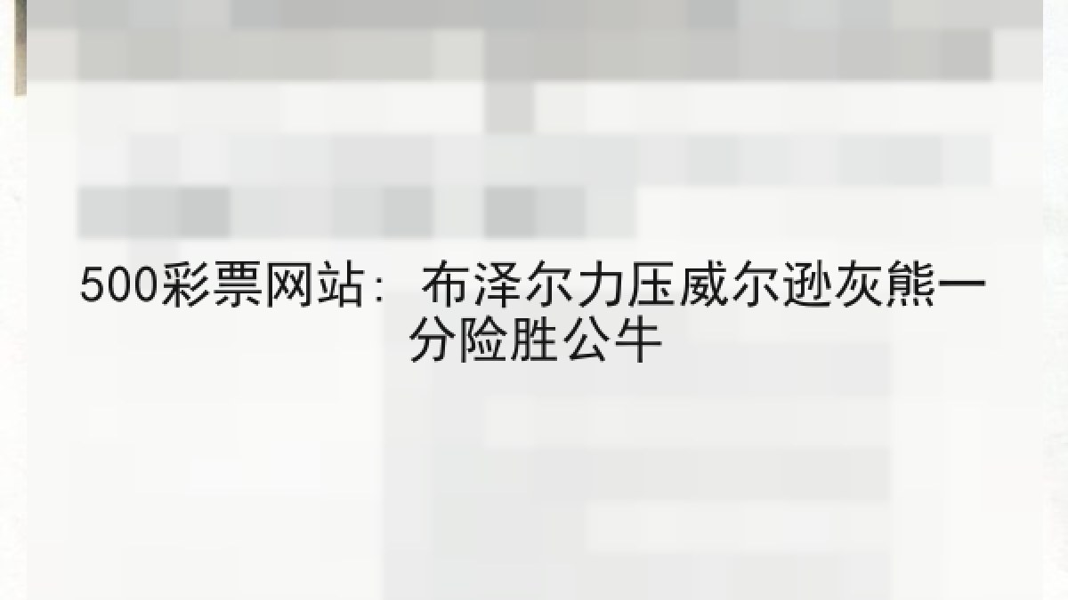 500彩票网站: 布泽尔力压威尔逊灰熊一分险胜公牛