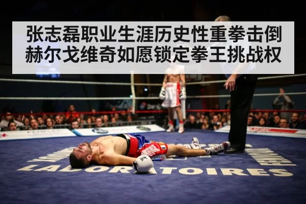 张志磊职业生涯历史性重拳击倒赫尔戈维奇如愿锁定拳王挑战权
