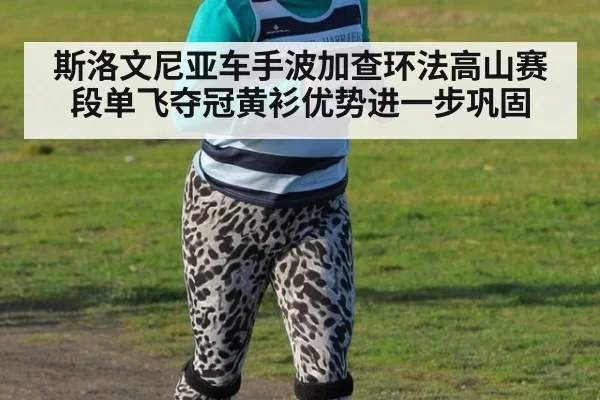 斯洛文尼亚车手波加查环法高山赛段单飞夺冠黄衫优势进一步巩固